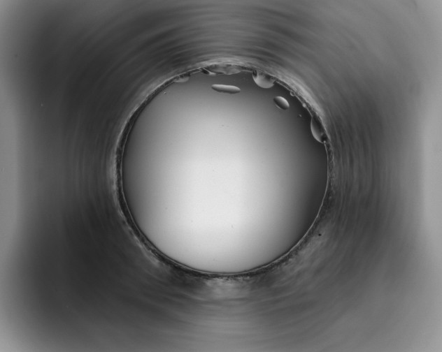 X0000091720898200709141203