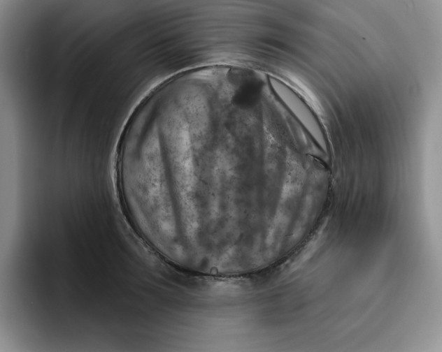 X0000091720899200709141203