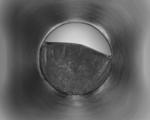 X0000091720903200709141203