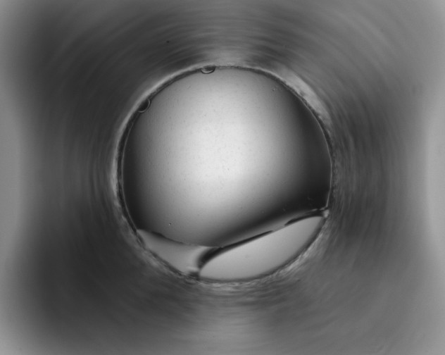 X0000091720904200709141203