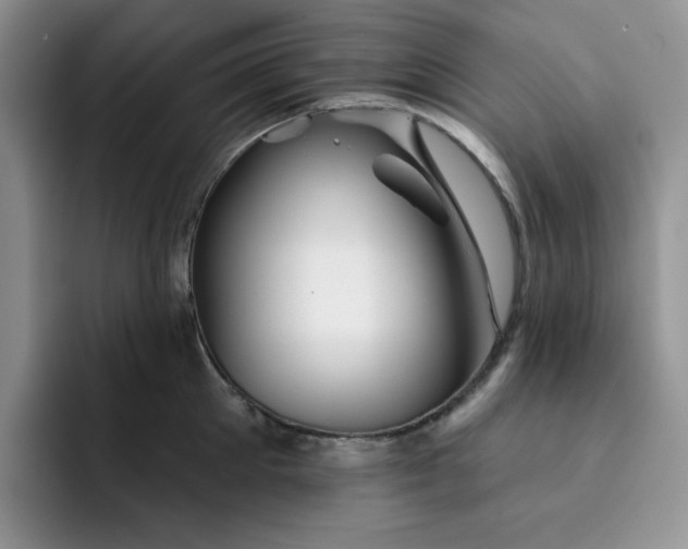 X0000091720905200709141203