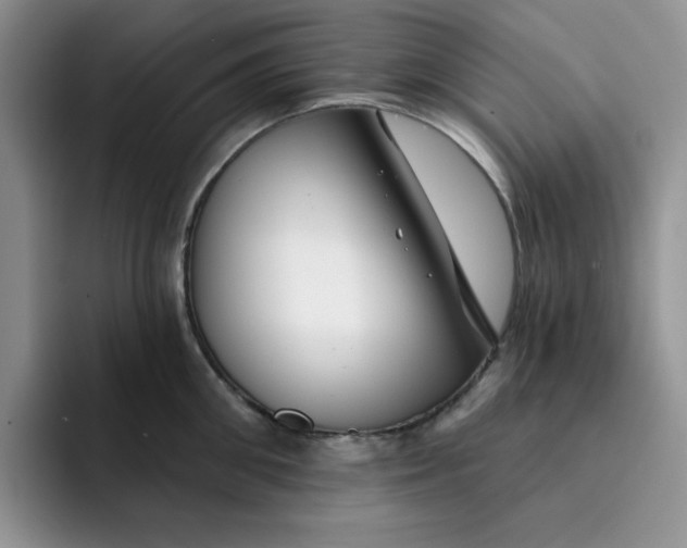 X0000091720906200709141203