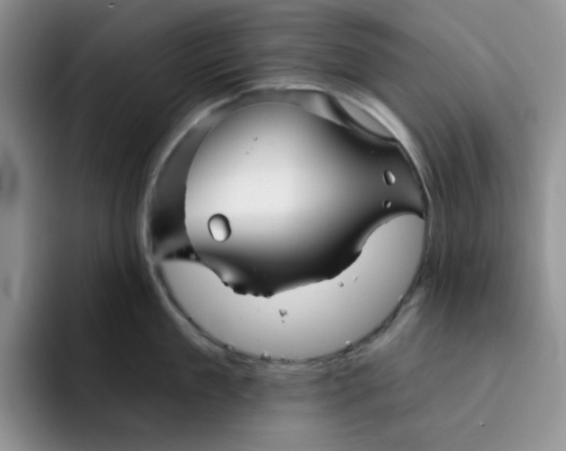 X0000091720909200709141203