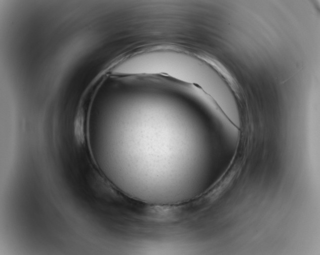 X0000091720910200709141203