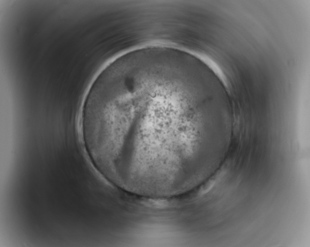 X0000091720911200709141203