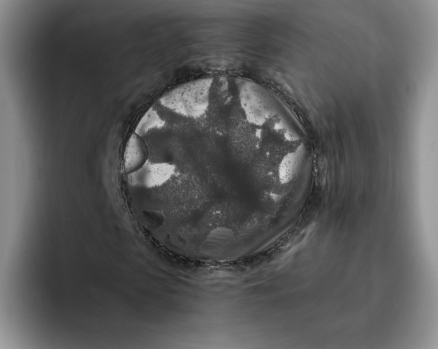 X0000091720913200709141202