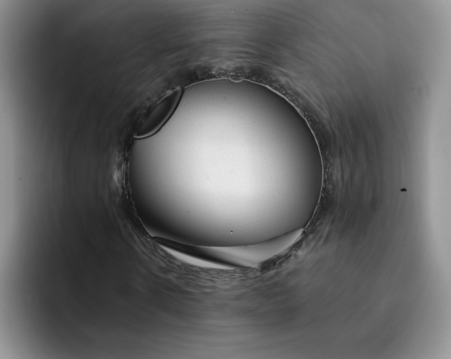 X0000091720914200709141202