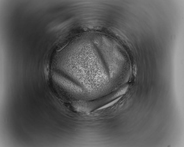 X0000091720915200709141202