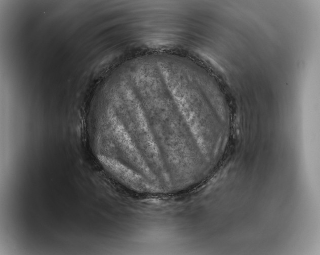 X0000091720917200709141202