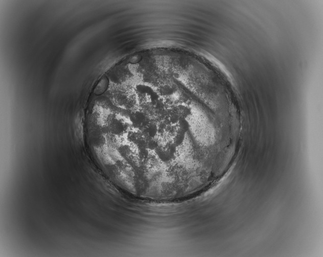 X0000091720921200709141202