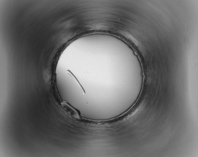 X0000091720922200709141202