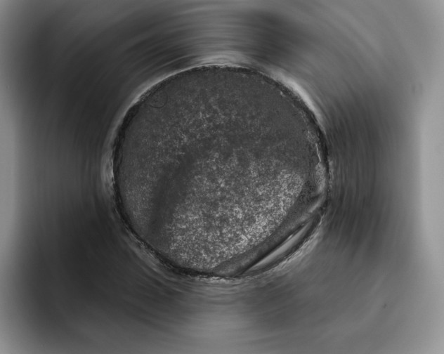 X0000091720923200709141202