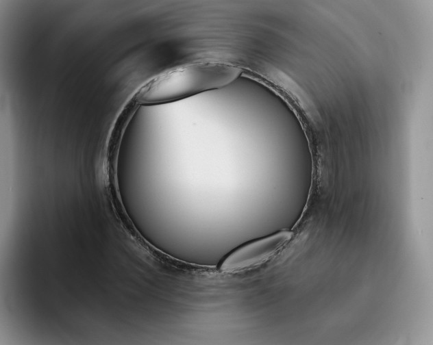 X0000091720924200709141202