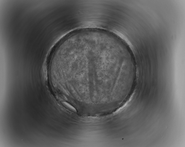 X0000091720925200709141202