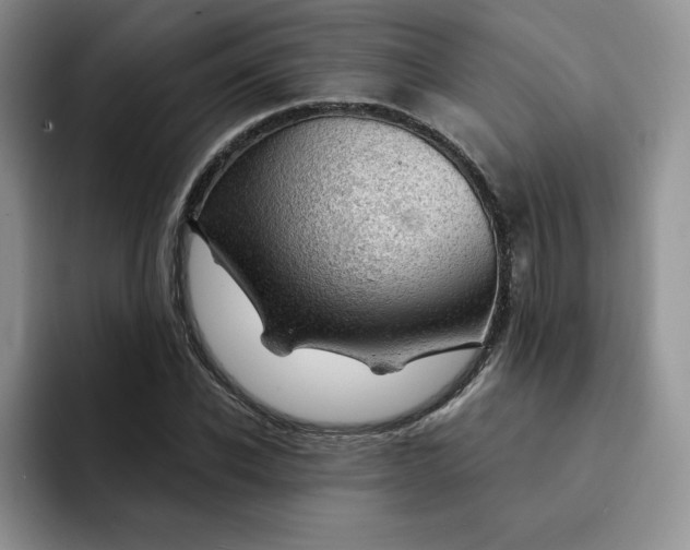 X0000091720926200709141202