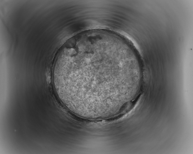 X0000091720929200709141202