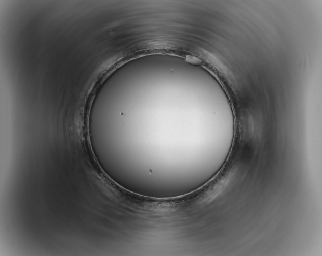 X0000091720930200709141202