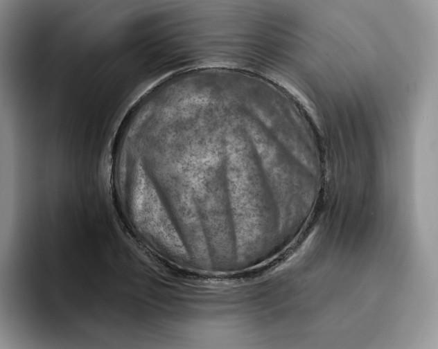 X0000091720933200709141202