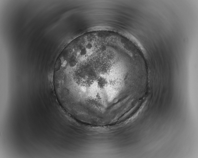 X0000091720937200709141202