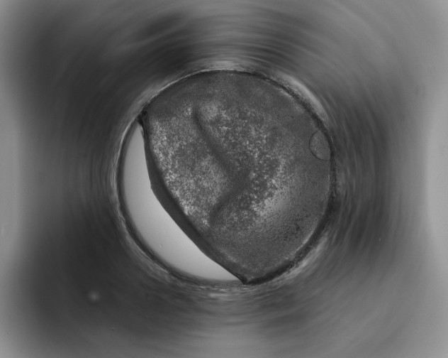 X0000091720938200709141202