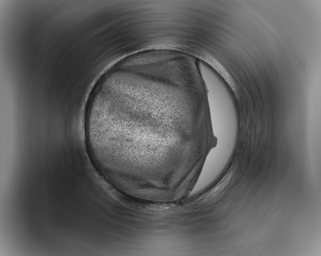 X0000091720939200709141202