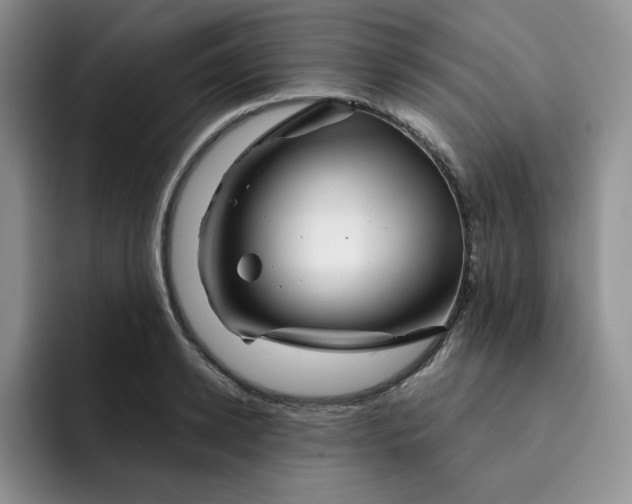 X0000091720942200709141202