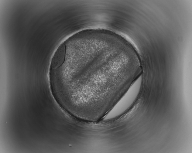 X0000091720943200709141202