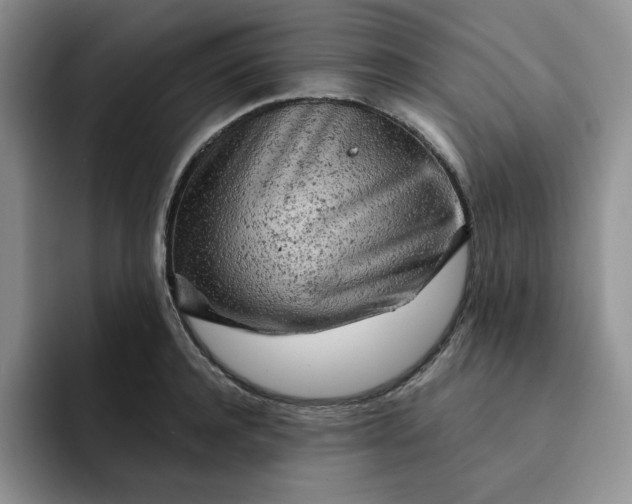 X0000091720944200709141203