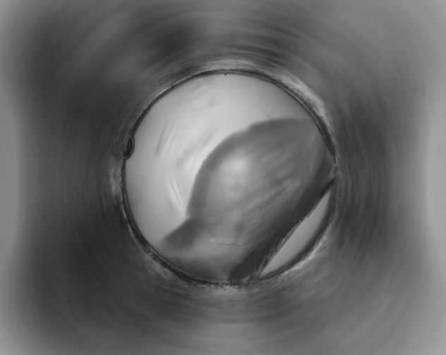 X0000091720945200709141203