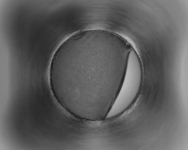 X0000091720949200709141203