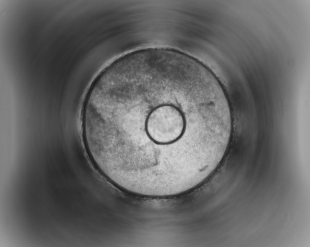 X0000091720950200709141203