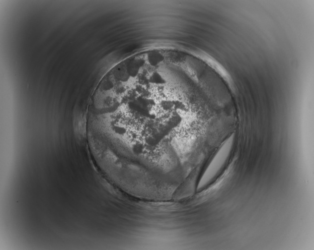 X0000091720953200709141203