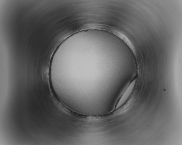 X0000091720954200709141203