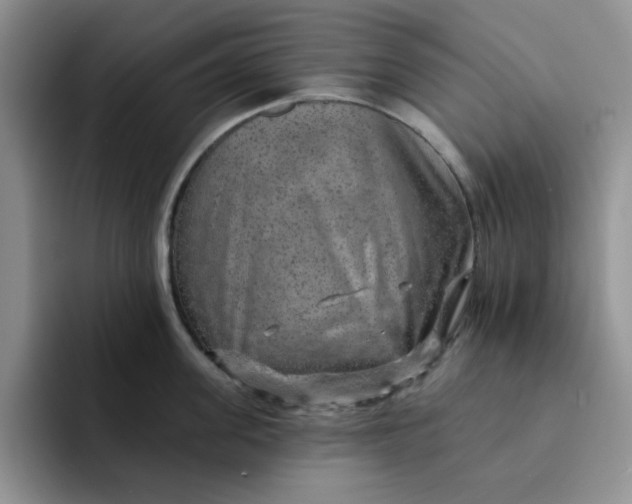 X0000091720955200709141203