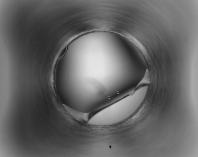 X0000091720956200709141203