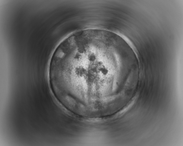 X0000091720957200709141203