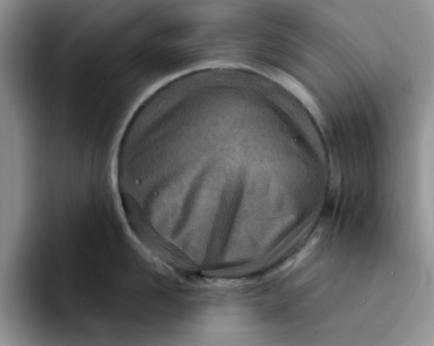 X0000091720958200709141203