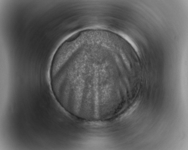 X0000091720959200709141203