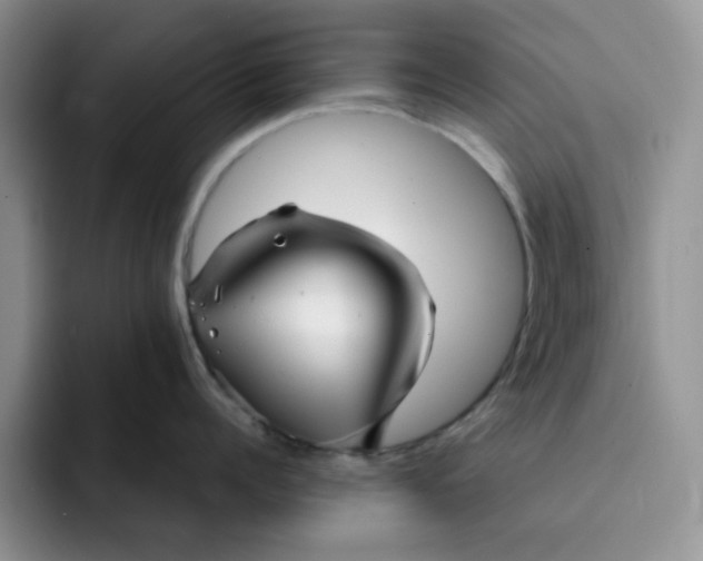 X0000091720960200709141203