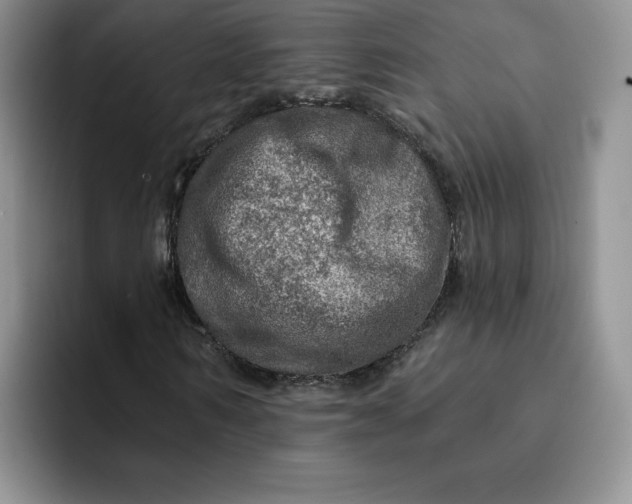 X0000091720962200709141202