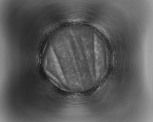 X0000091720966200709141202