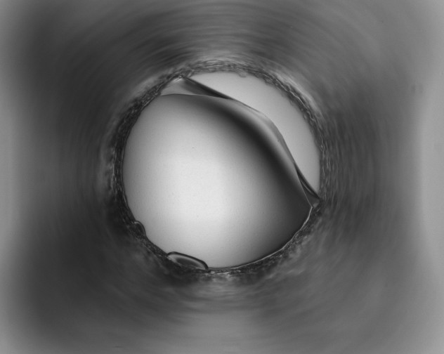 X0000091720968200709141202