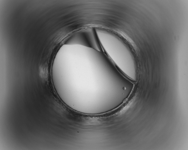 X0000091720969200709141202