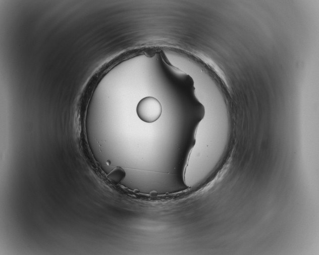 X0000091720973200709141202