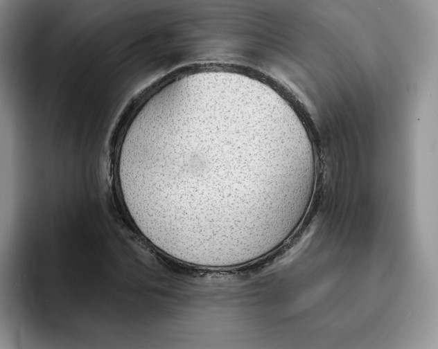 X0000091720974200709141202