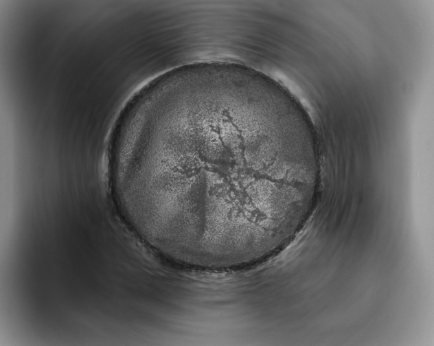 X0000091720975200709141202