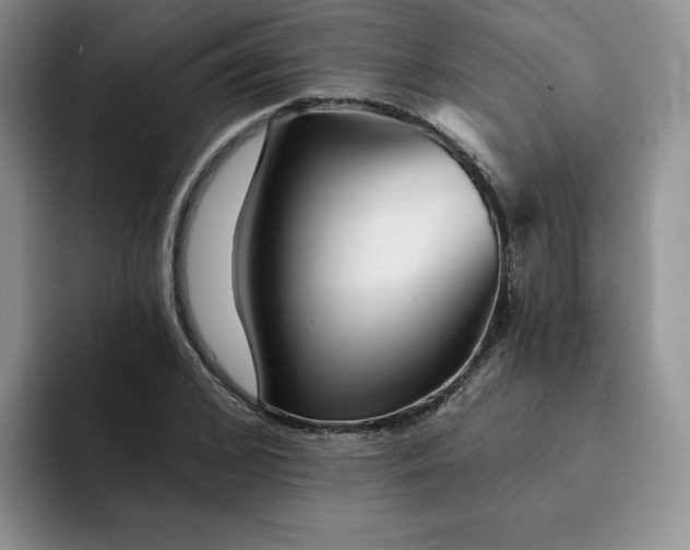 X0000091720976200709141202