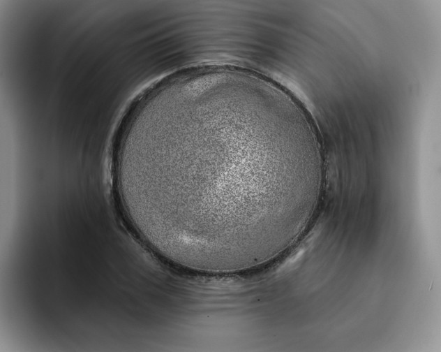 X0000091720979200709141202