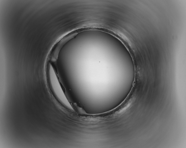 X0000091720981200709141202