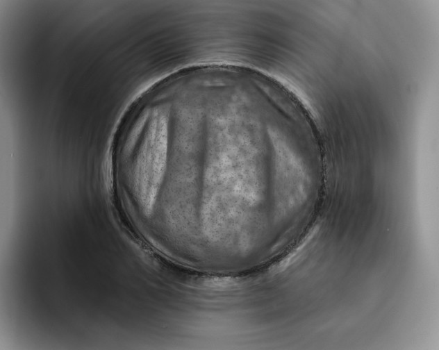 X0000091720982200709141202